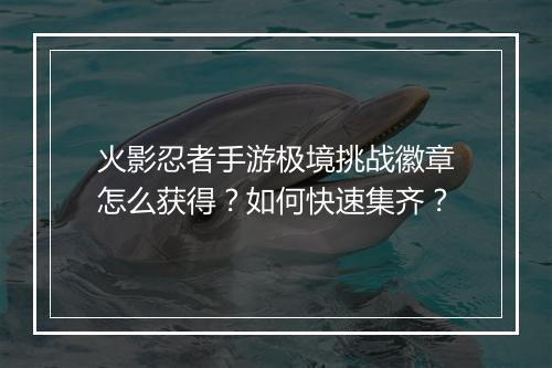火影忍者手游极境挑战徽章怎么获得？如何快速集齐？