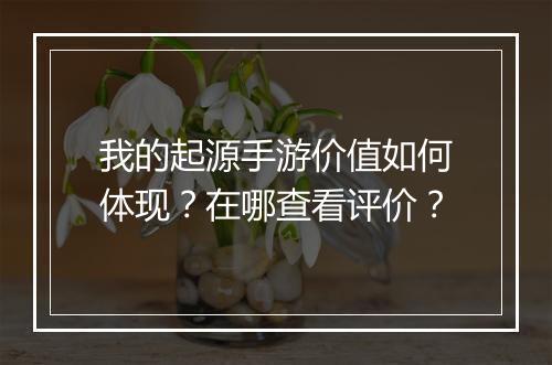 我的起源手游价值如何体现？在哪查看评价？