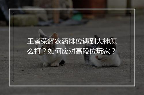 王者荣耀农药排位遇到大神怎么打？如何应对高段位玩家？