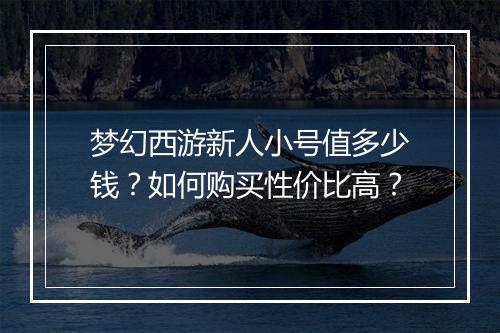 梦幻西游新人小号值多少钱？如何购买性价比高？