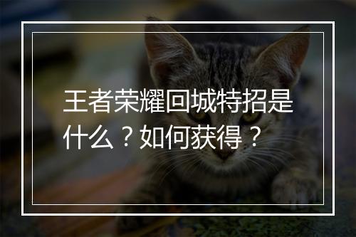 王者荣耀回城特招是什么？如何获得？