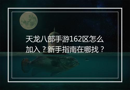 天龙八部手游162区怎么加入？新手指南在哪找？