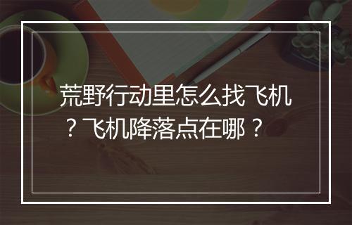 荒野行动里怎么找飞机？飞机降落点在哪？