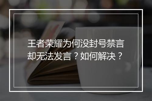王者荣耀为何没封号禁言却无法发言？如何解决？