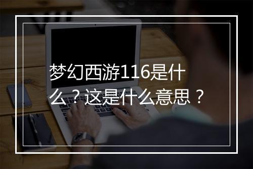 梦幻西游116是什么？这是什么意思？