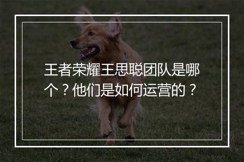 王者荣耀王思聪团队是哪个？他们是如何运营的？