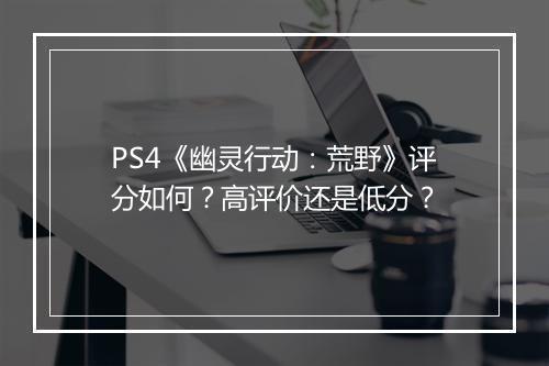 PS4《幽灵行动：荒野》评分如何？高评价还是低分？