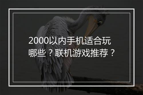 2000以内手机适合玩哪些？联机游戏推荐？