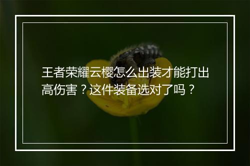 王者荣耀云樱怎么出装才能打出高伤害？这件装备选对了吗？