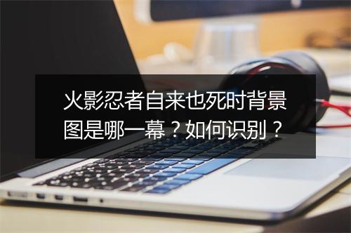 火影忍者自来也死时背景图是哪一幕？如何识别？