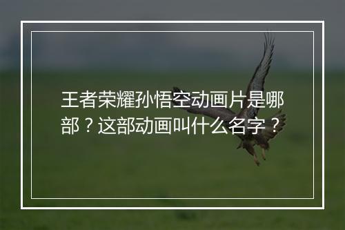 王者荣耀孙悟空动画片是哪部？这部动画叫什么名字？