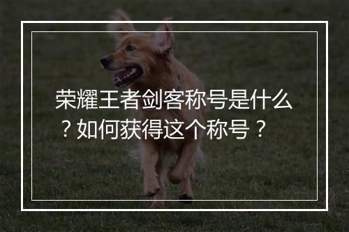 荣耀王者剑客称号是什么？如何获得这个称号？
