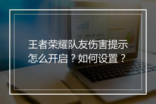 王者荣耀队友伤害提示怎么开启？如何设置？
