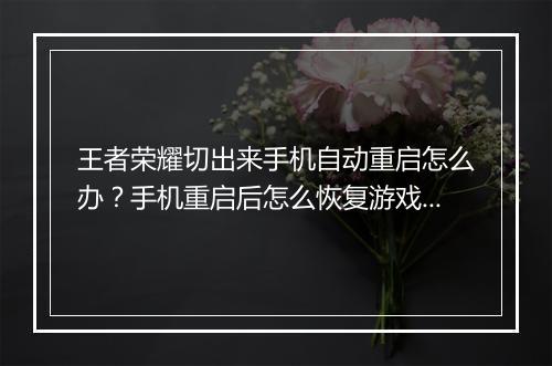 王者荣耀切出来手机自动重启怎么办？手机重启后怎么恢复游戏？