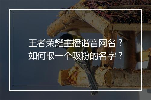 王者荣耀主播谐音网名？如何取一个吸粉的名字？