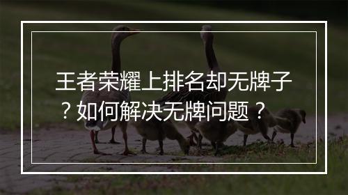 王者荣耀上排名却无牌子?如何解决无牌问题?