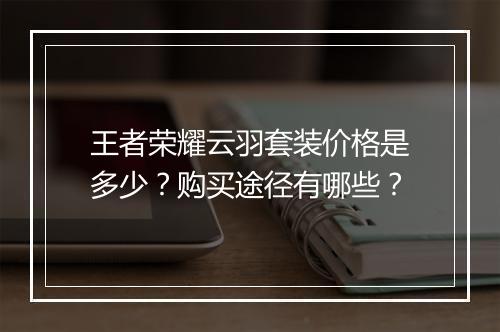 王者荣耀云羽套装价格是多少？购买途径有哪些？