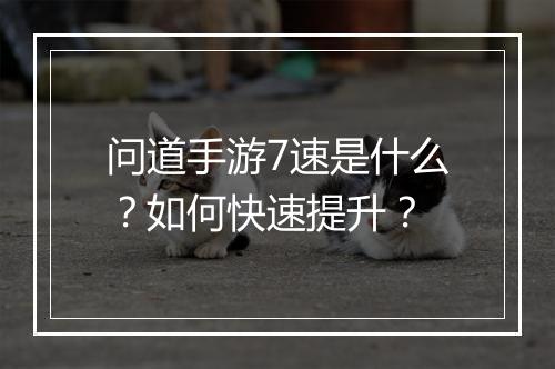 问道手游7速是什么？如何快速提升？