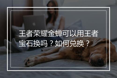 王者荣耀金蝉可以用王者宝石换吗？如何兑换？