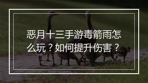 恶月十三手游毒箭雨怎么玩？如何提升伤害？